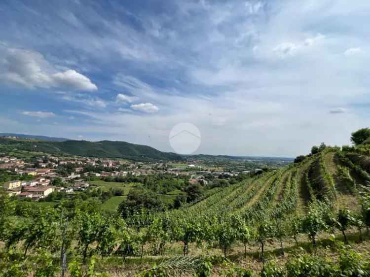 Ter. agricolo in vendita