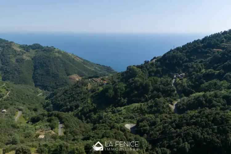 Trilocale Località Drignana, Vernazza