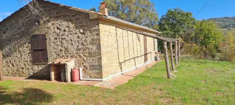 Villa in Sp aione 100, Scansano, 4 locali, 1 bagno, giardino privato