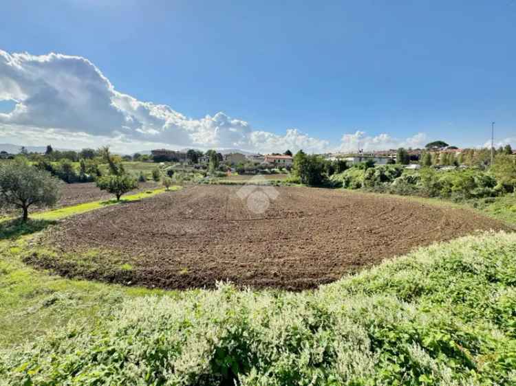 Ter. agricolo in vendita