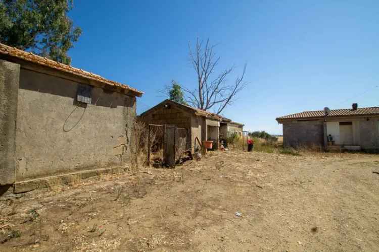 Casale Strada Provinciale Pescia Romana, Pescia Romana, Montalto di Castro