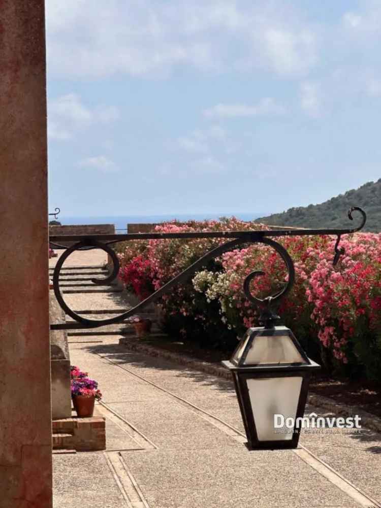 Bilocale Strada Vicinale Forte filippo, Porto Ercole, Monte Argentario