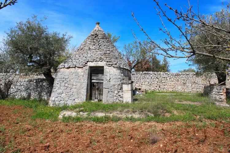 Trullo Strada Comunale San Giorgio 9, Putignano