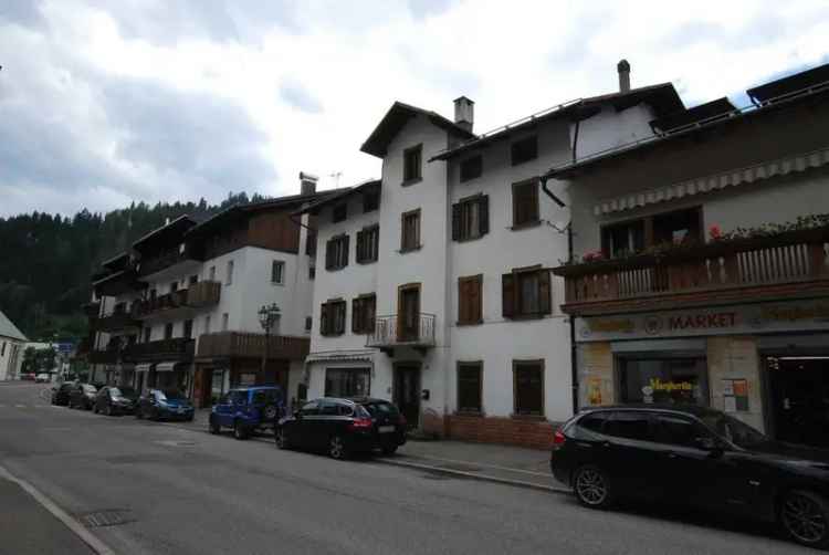 Villa a schiera via Udine, Santo Stefano di Cadore