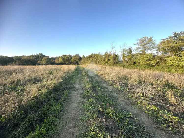 Ter. agricolo in vendita