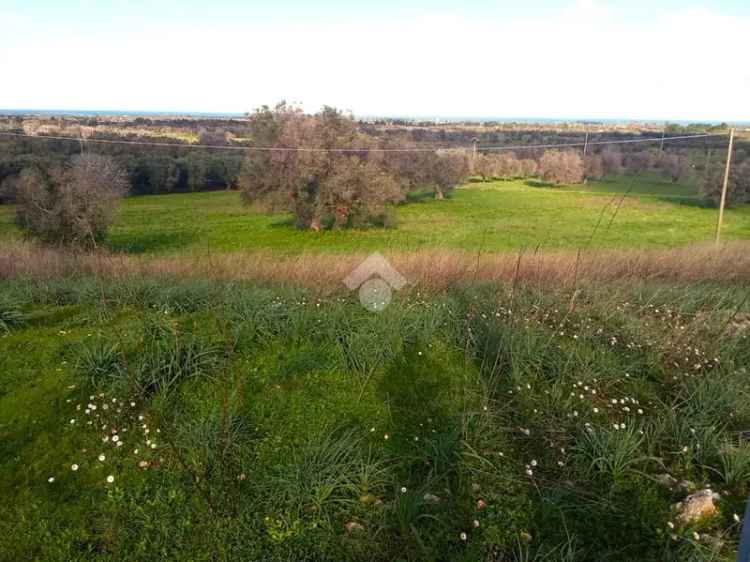 Ter. agricolo in vendita