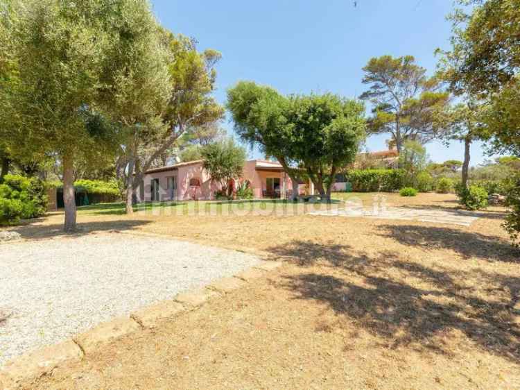 Villa unifamiliare via delle Mimose 89, Ansedonia, Orbetello