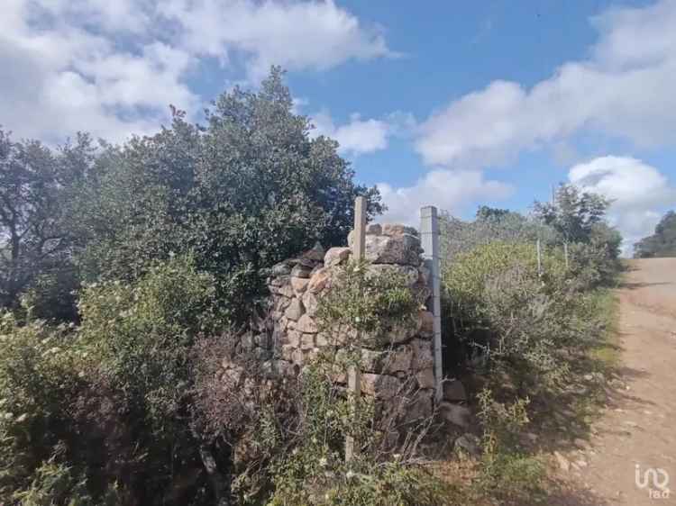 Vendita terreno di 32.970 m² in Olbia (07026) - 116966 - iad