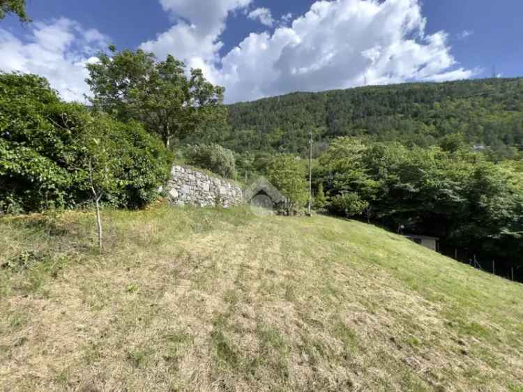 Ter. agricolo in vendita