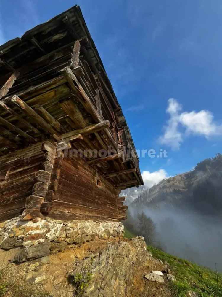 Rustico via San Pietro, Presenaio, San Pietro di Cadore