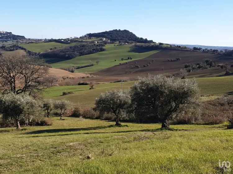 Vendita terreno di 28.415 m² in Osimo (60027) - 87422 - iad