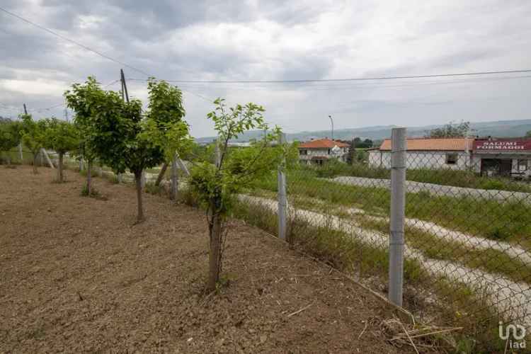 Vendita terreno di 15.000 m² in Roseto degli Abruzzi (64026) - 95331 - iad