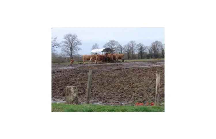 Terreno Agricolo/Coltura in vendita a Mede