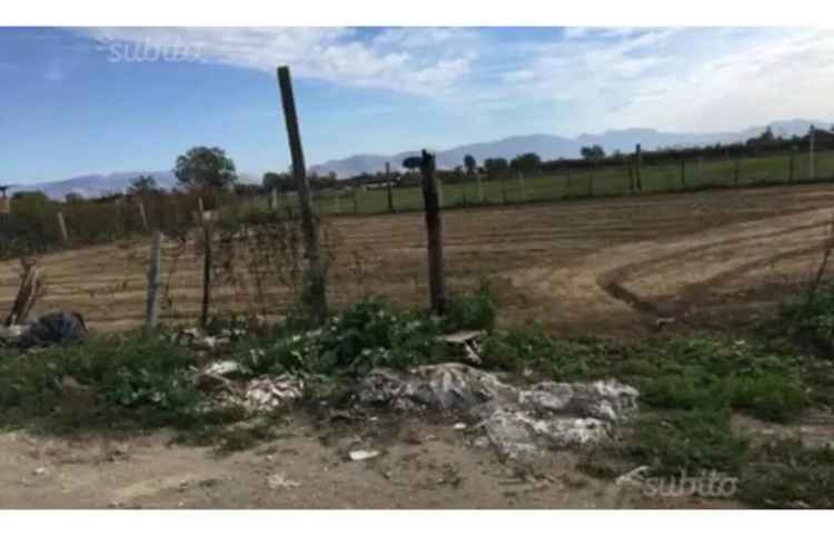 Terreno Agricolo/Coltura in vendita a Caivano