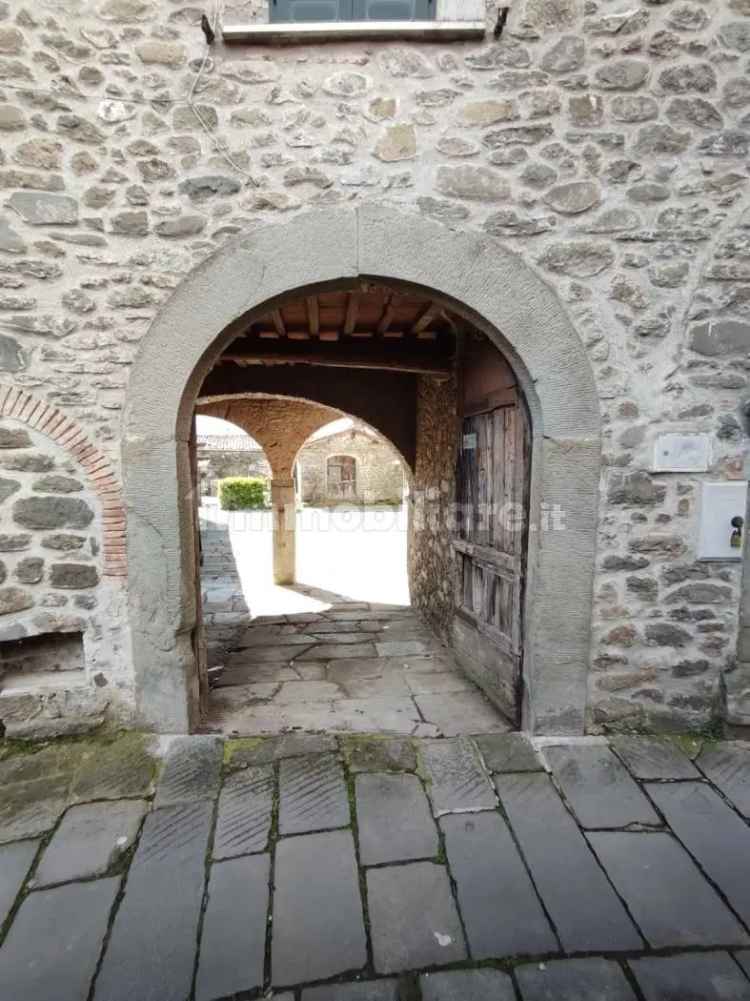 Terratetto unifamiliare via San Francesco, 15, Centro, Pieve Fosciana