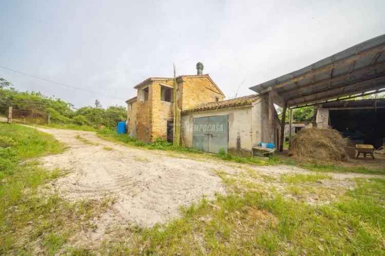 Casa colonica Contrada Murata 4, Centro, Montelupone