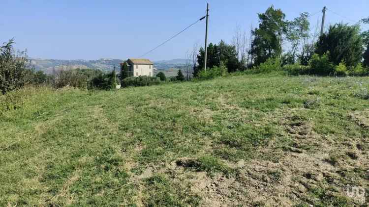 Vendita terreno di 7.080 m² in Cossignano (63067) - 102530 - iad