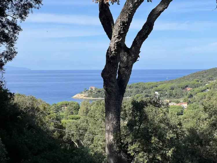 Casa Indipendente Marciana Isola dElba Rif 5063