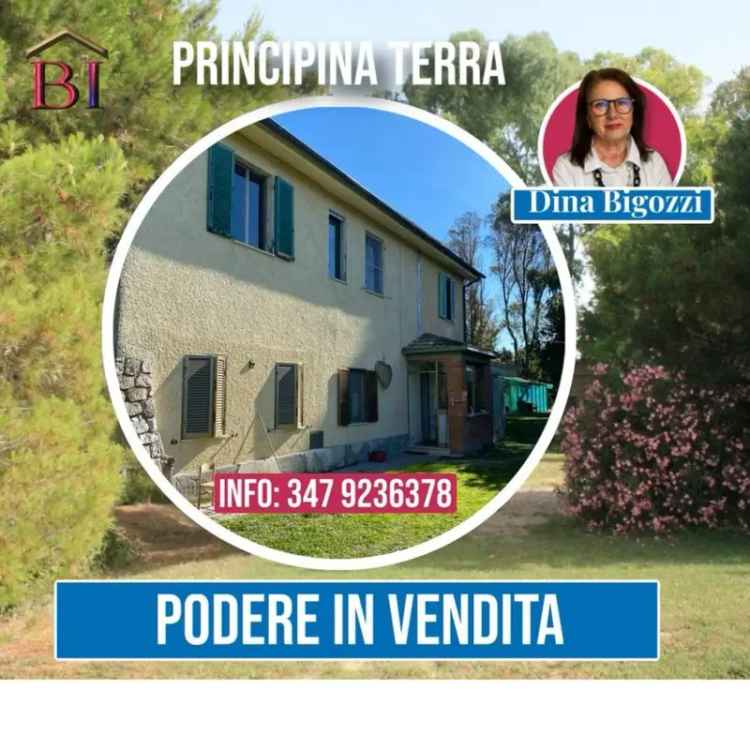 Casa colonica Strada della Principina 2, La Principina, Grosseto