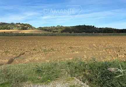 Terreno Agricolo 85000 mq Moiano Citta di Castello