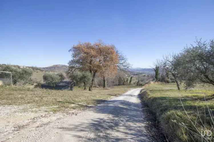 Vendita terreno agricolo di 50.000 m² in Falerone (63837) - 117945 - iad