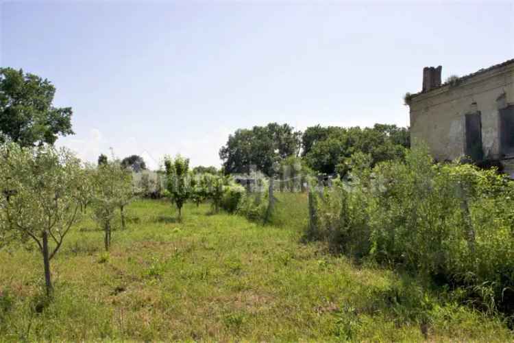 Rustico Strada Statale Lanciano Fossacesia Ovest, Fossacesia