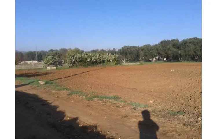 Terreno Agricolo/Coltura in vendita a Supersano