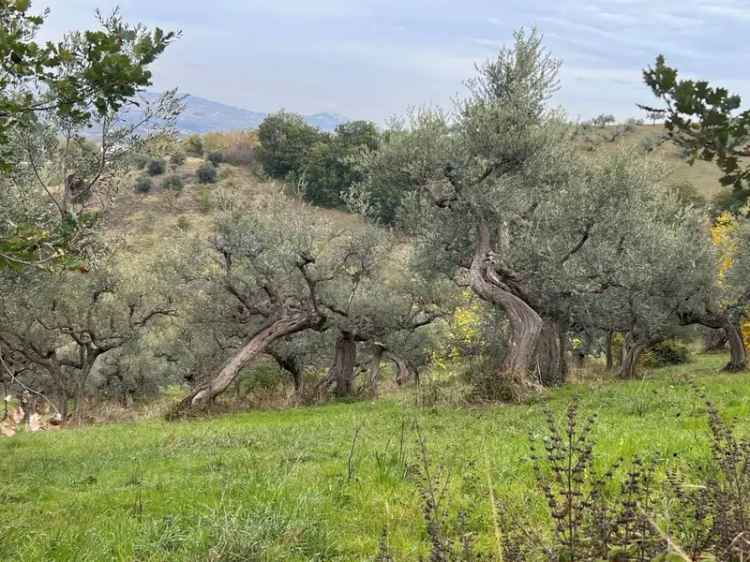 Villa unifamiliare Contrada Santa Vittoria, Penne