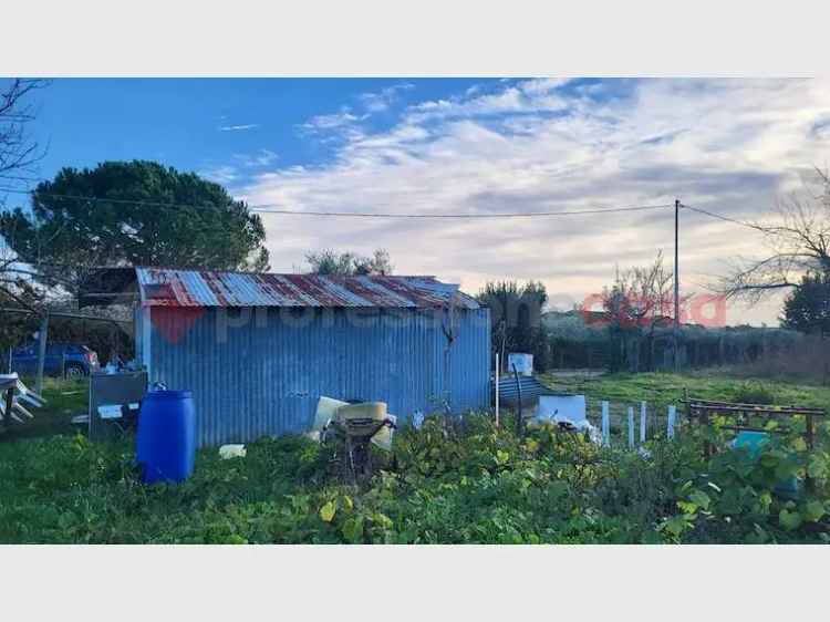 Terreno in Vendita a Cecina 3200 mq vicino al Palazzaccio