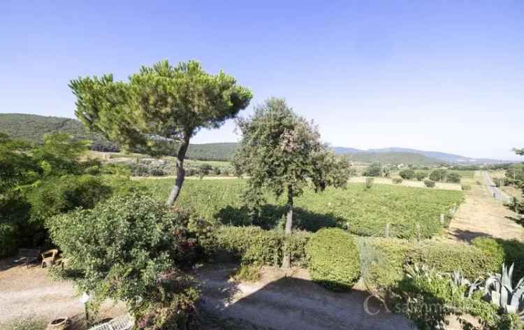 Appartamento Strada di Cupi, Magliano in Toscana