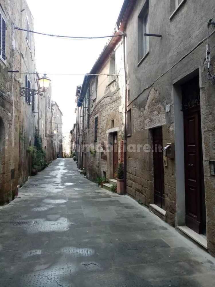 Quadrilocale via Vignoli, Centro, Pitigliano