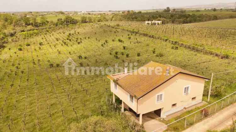 Villa unifamiliare via Tufello 7, Campoleone - Tre Colli, Aprilia