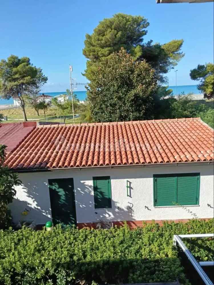 Bilocale corso del Tirreno 116, Marina Di Santa Maria Del Cedro, Santa Maria del Cedro