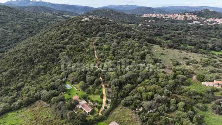 Casa colonica Strada Provinciale per Luogosanto, Luogosanto