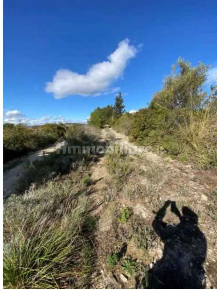 Appartamento all'asta Contrada San Corrado di Fuori, Noto