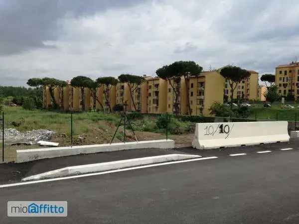 Appartamento In Affitto in Roma, Lazio