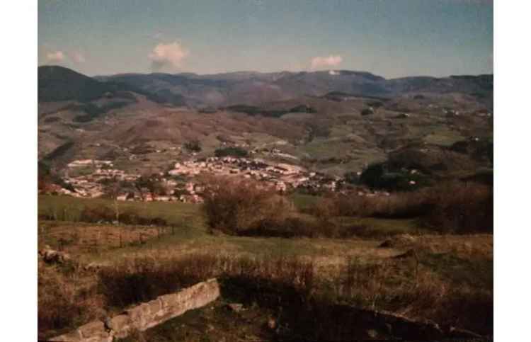 Rustico/Casale in vendita a Pratovecchio