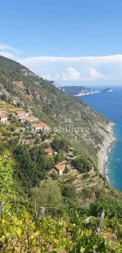 Chalet Schiara, Marola - Campiglia, La Spezia