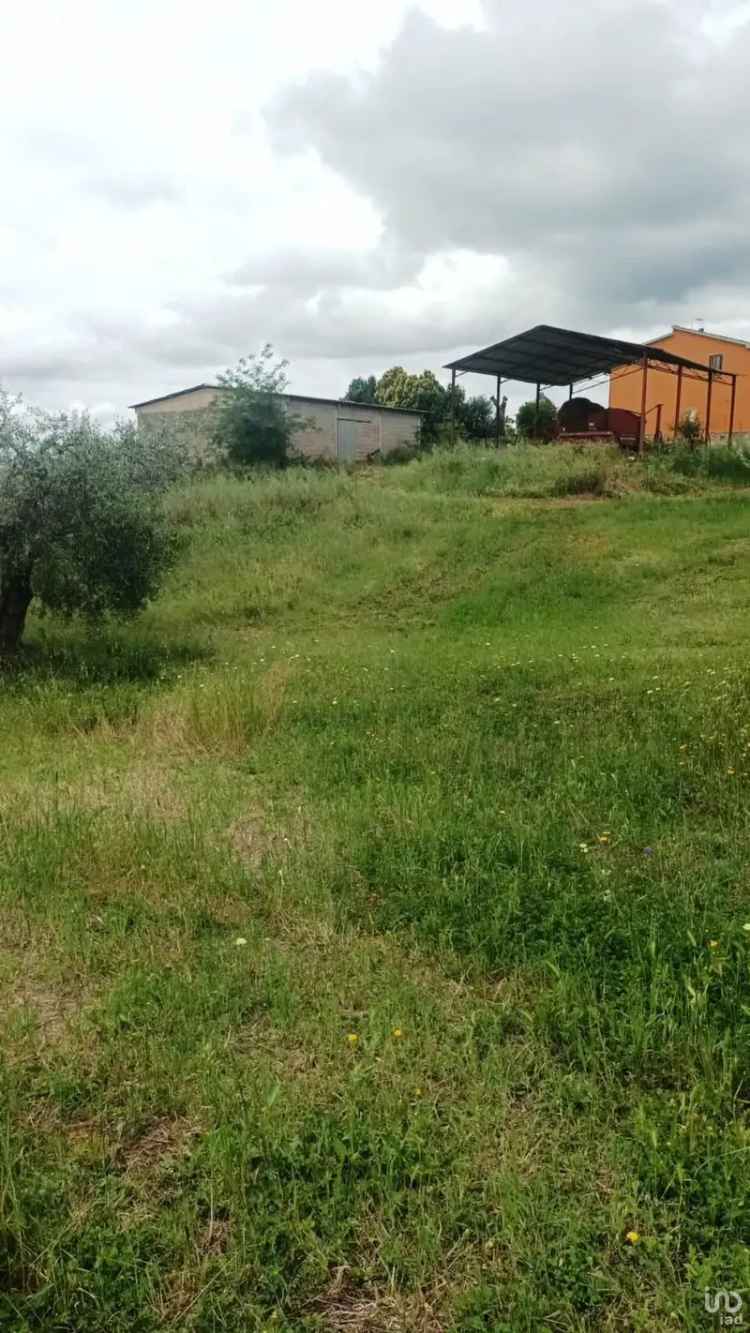 Vendita terreno di 240.000 m² in Scansano (58054) - 96071 - iad