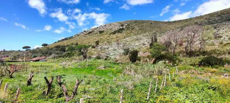 Ter. agricolo in vendita