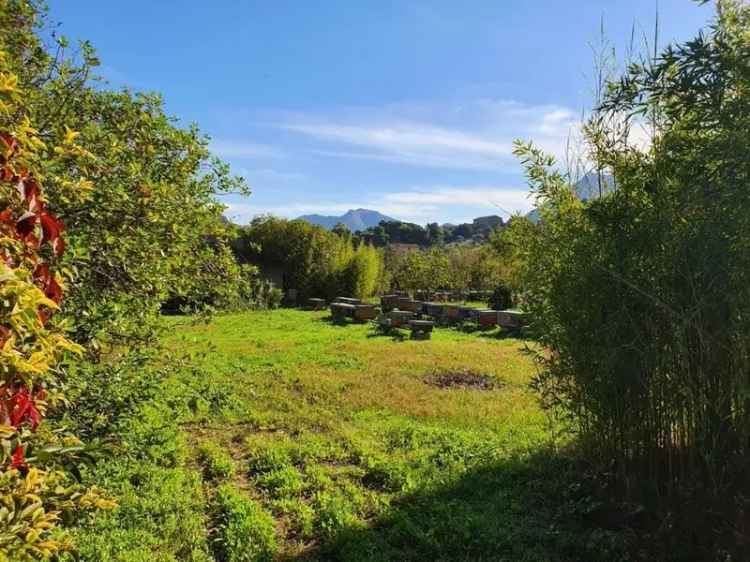 Villa in Via Pezzingoli, Monreale, 35000 m², terrazzo in vendita