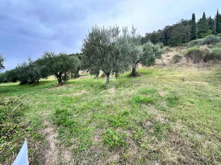 Ter. agricolo in vendita