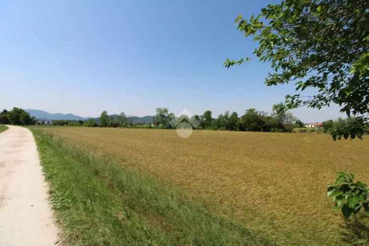 Terreno Agricolo in Vendita Pernumia 15300 mq