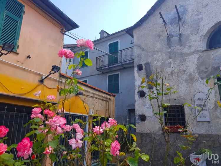 Vendita casa indipendente 10 locali di 180 m² in Davagna (16022) - 101770 - iad