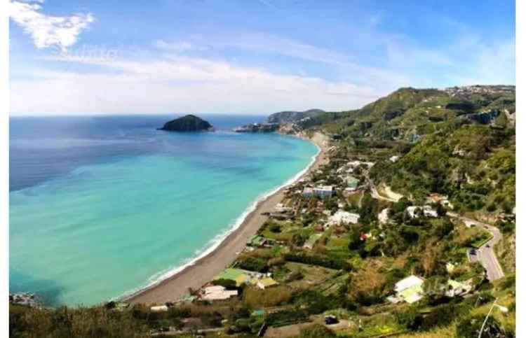 Casa indipendente in vendita a Barano d'Ischia