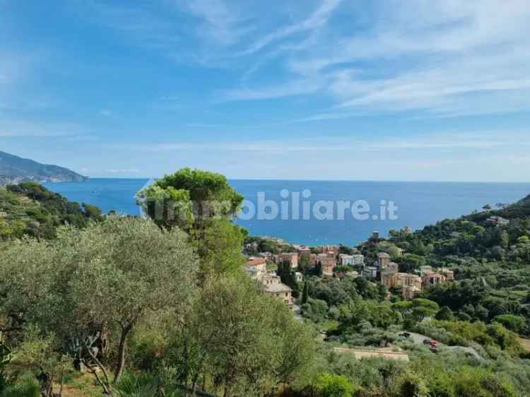 Villa bifamiliare via Mesco, Centro, Monterosso al Mare