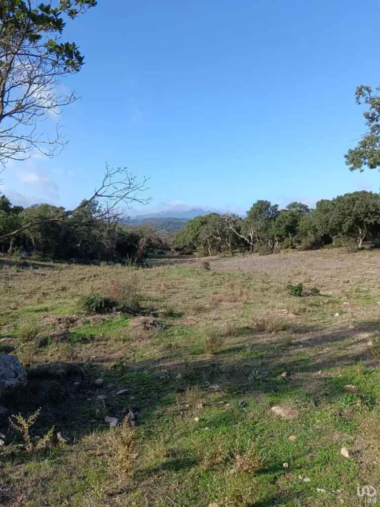 Vendita terreno di 40.000 m² in Telti (07020) - 110727 - iad