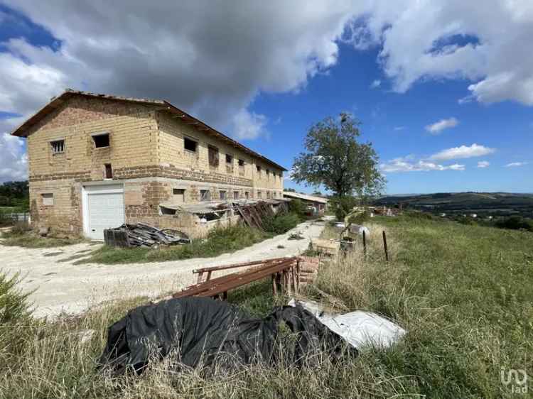 Vendita terreno di 21.075 m² in Urbisaglia (62010) - 83222 - iad