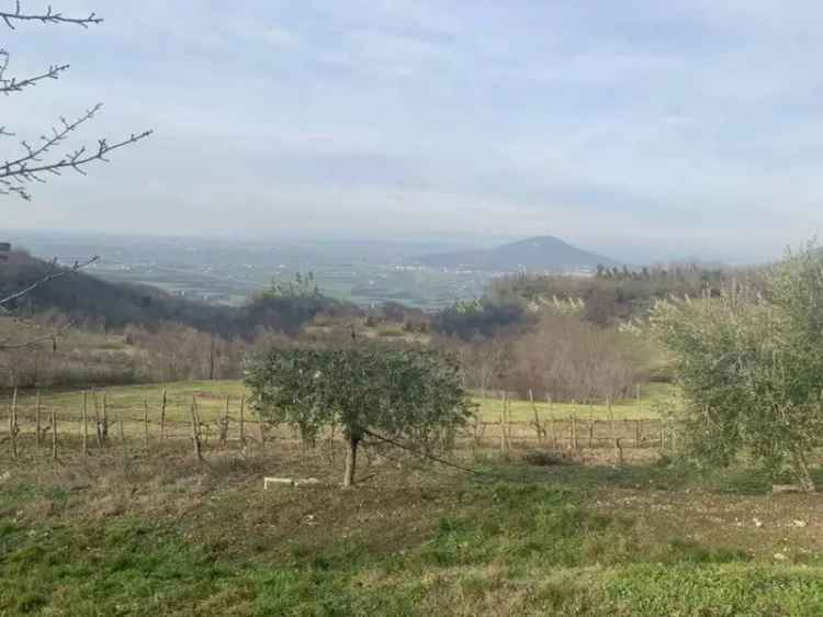 Terratetto unifamiliare via Isabella d'Este, Meggiaro Basso, Este