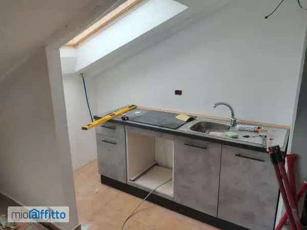 Appartamento In Affitto in Torino, Piemonte